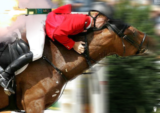 Illustration for article titled 135 Ways to Ruin the Olympics Using Technology